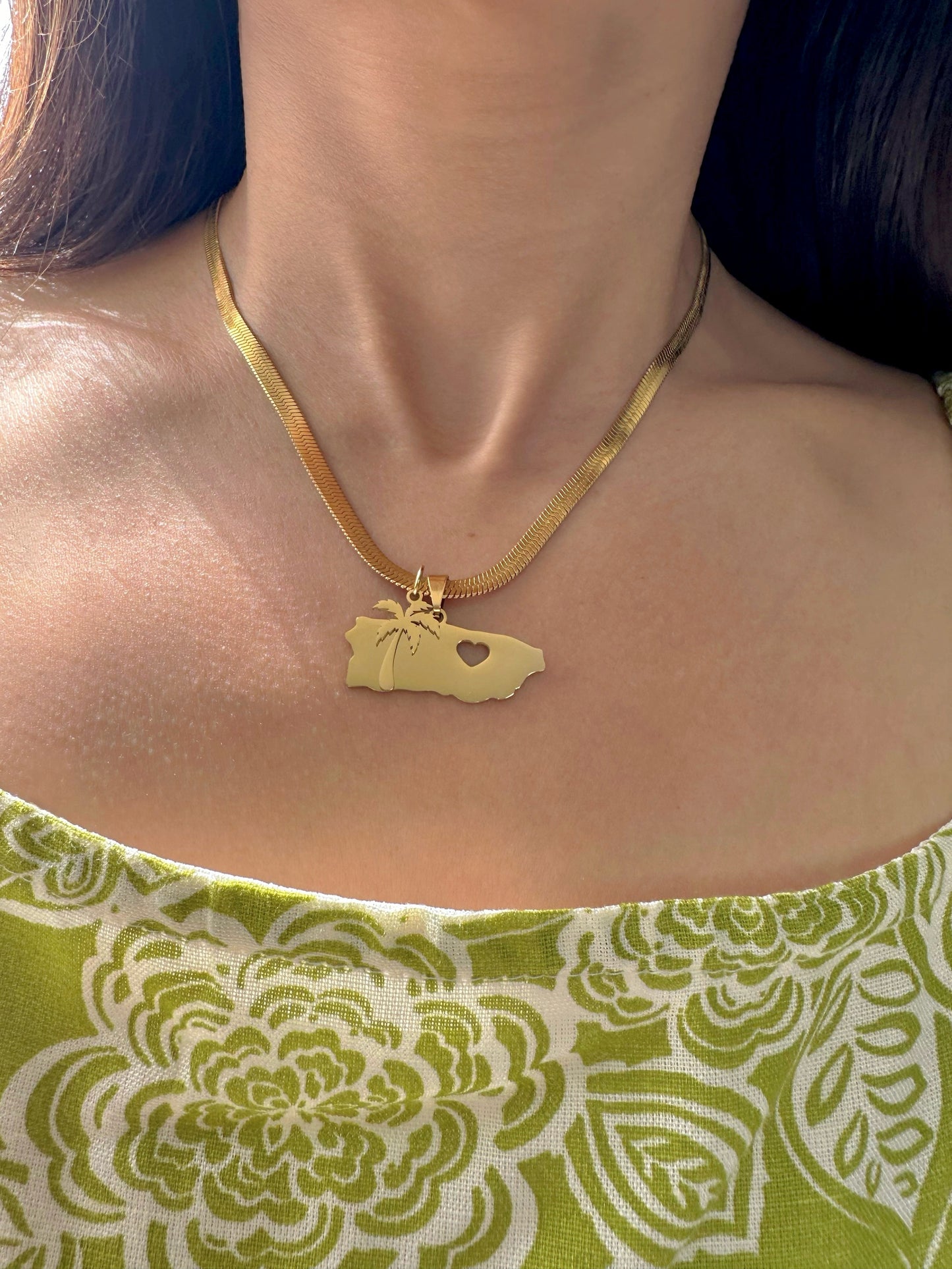 Collar con dije de Isla del Encanto